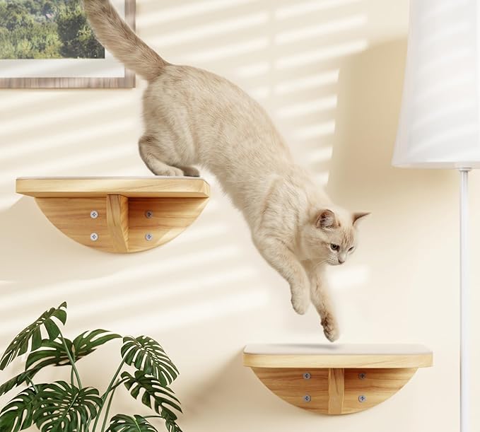 Cat Wall Shelves and Cats Window Perch ��� Natural Wood 4-Piece Set with Foam-Padded Curved Bed and Felt Steps, Space-Saving Wall Mounted