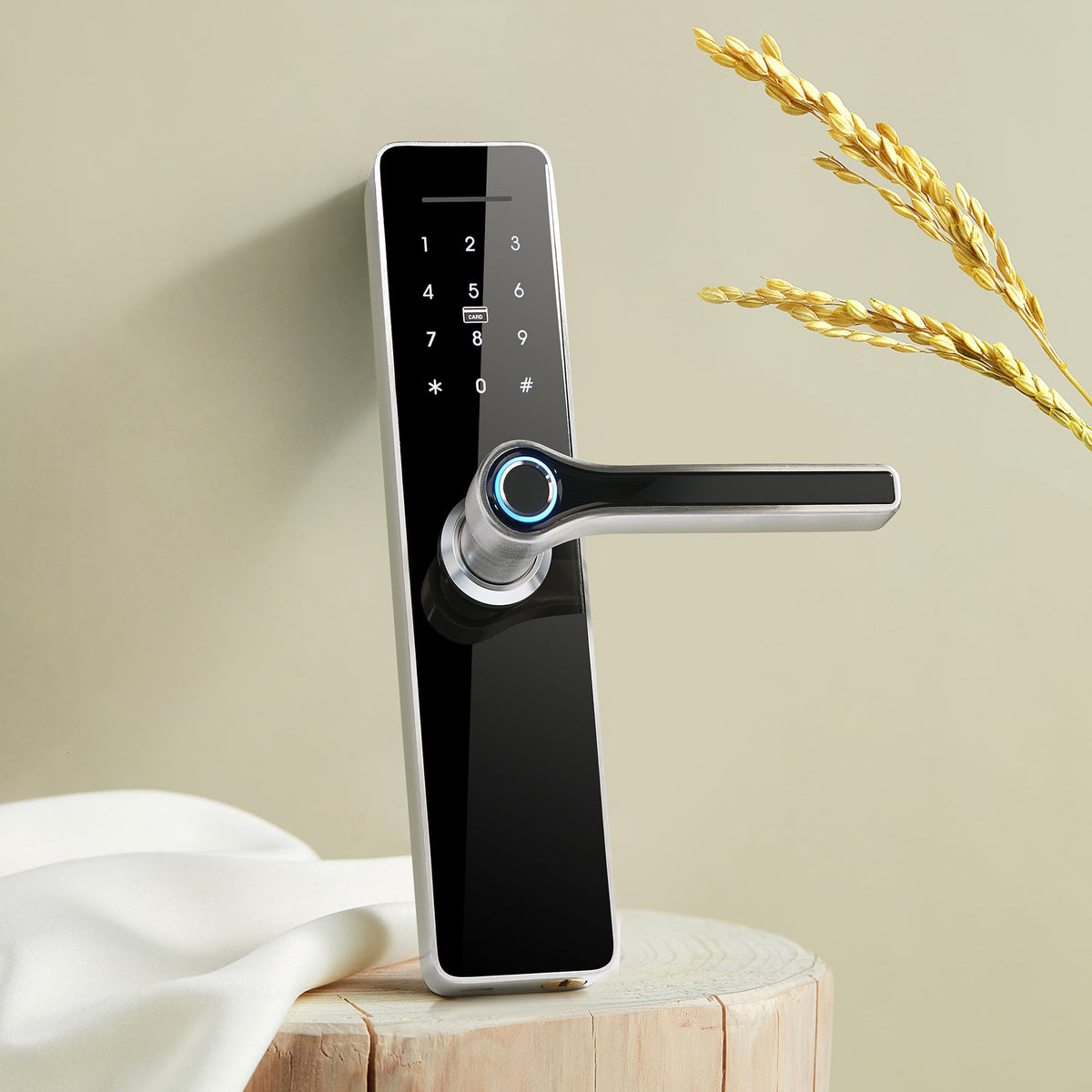 HAIFUAN 5800 Digital Door Lock, Made of Stainless Steel 304, Unlock with Fingerprint, Code, Card,Key, V2.0 (HFA5800-R)