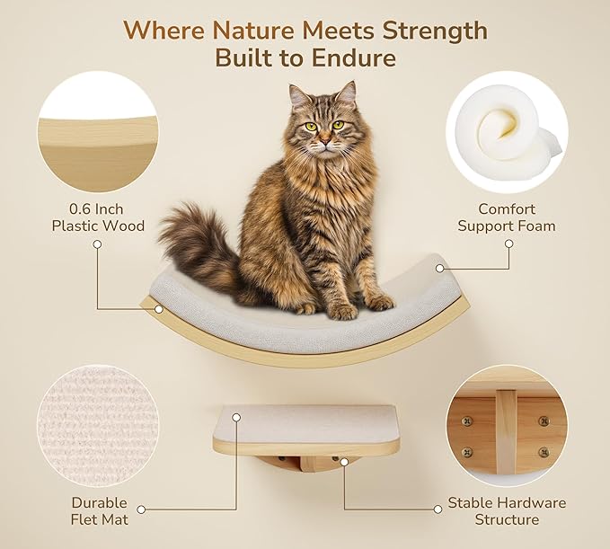 Cat Wall Shelves and Cats Window Perch ��� Natural Wood 4-Piece Set with Foam-Padded Curved Bed and Felt Steps, Space-Saving Wall Mounted