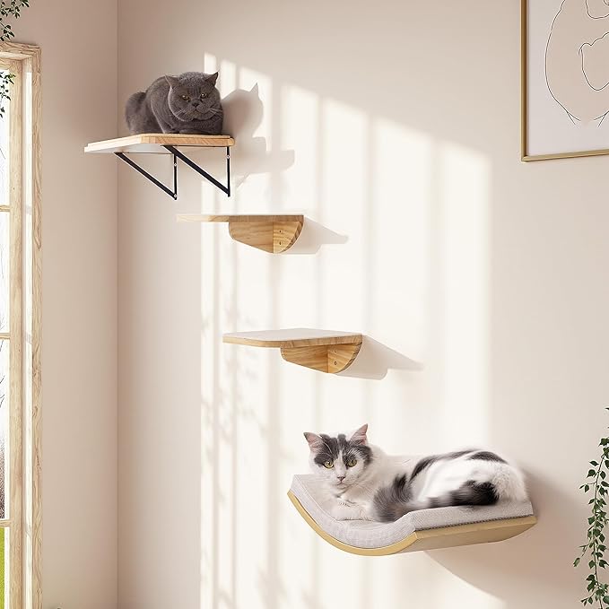 Cat Wall Shelves and Cats Window Perch ��� Natural Wood 4-Piece Set with Foam-Padded Curved Bed and Felt Steps, Space-Saving Wall Mounted