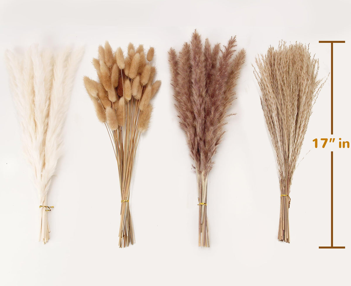 Dried Pampas Grass Decor, 100 Stems Pampas Grass Contains Bunny Tails Dried Flowers, Reed Grass Bouquet for Wedding Boho Flowers Home Table Decor, Rustic Farmhouse Party (17", White and Brown)