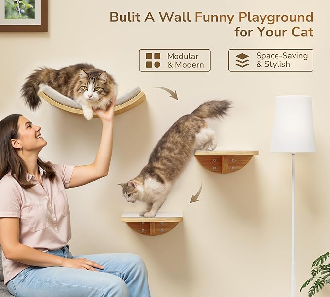 Cat Wall Shelves and Cats Window Perch ��� Natural Wood 4-Piece Set with Foam-Padded Curved Bed and Felt Steps, Space-Saving Wall Mounted