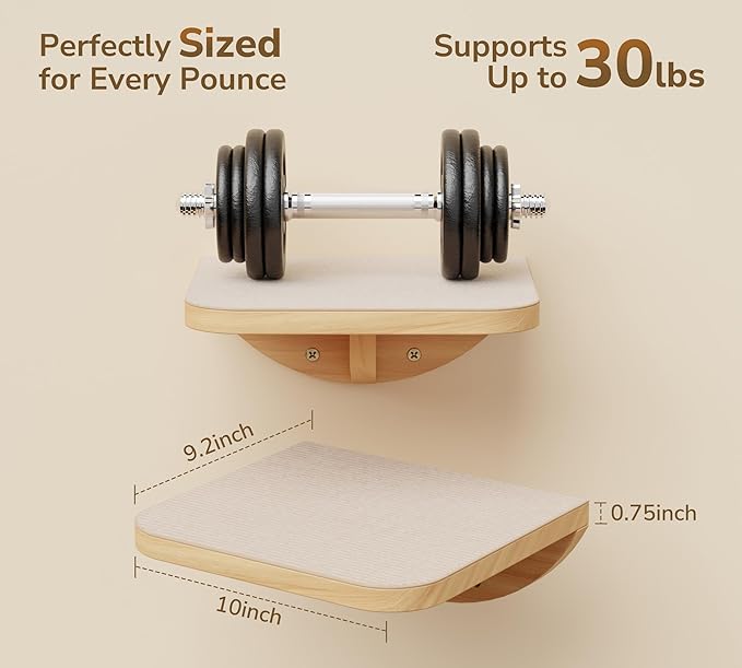 Cat Wall Shelves and Cats Window Perch ��� Natural Wood 4-Piece Set with Foam-Padded Curved Bed and Felt Steps, Space-Saving Wall Mounted