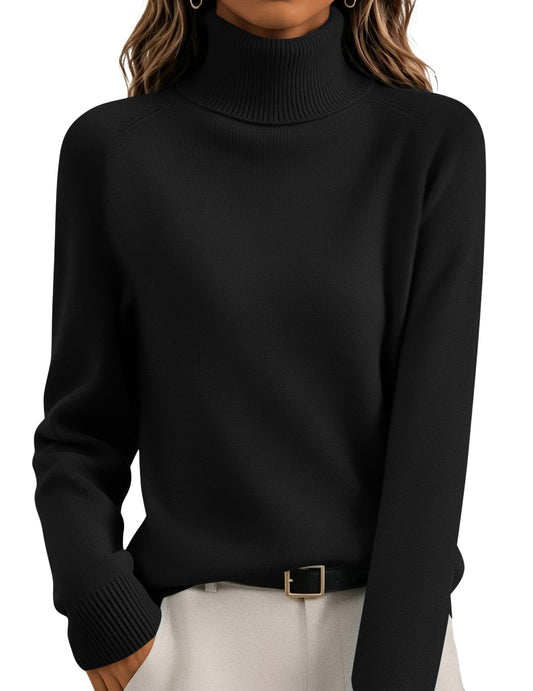 Zeagoo Women Fall Clothes Turtleneck Long Sleeve Tops Ladies Sweaters Black