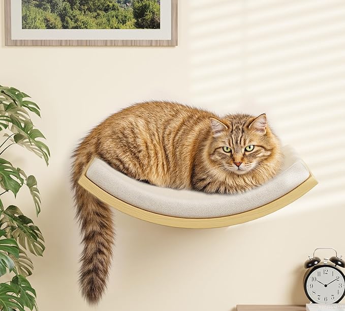 Cat Wall Shelves and Cats Window Perch ��� Natural Wood 4-Piece Set with Foam-Padded Curved Bed and Felt Steps, Space-Saving Wall Mounted