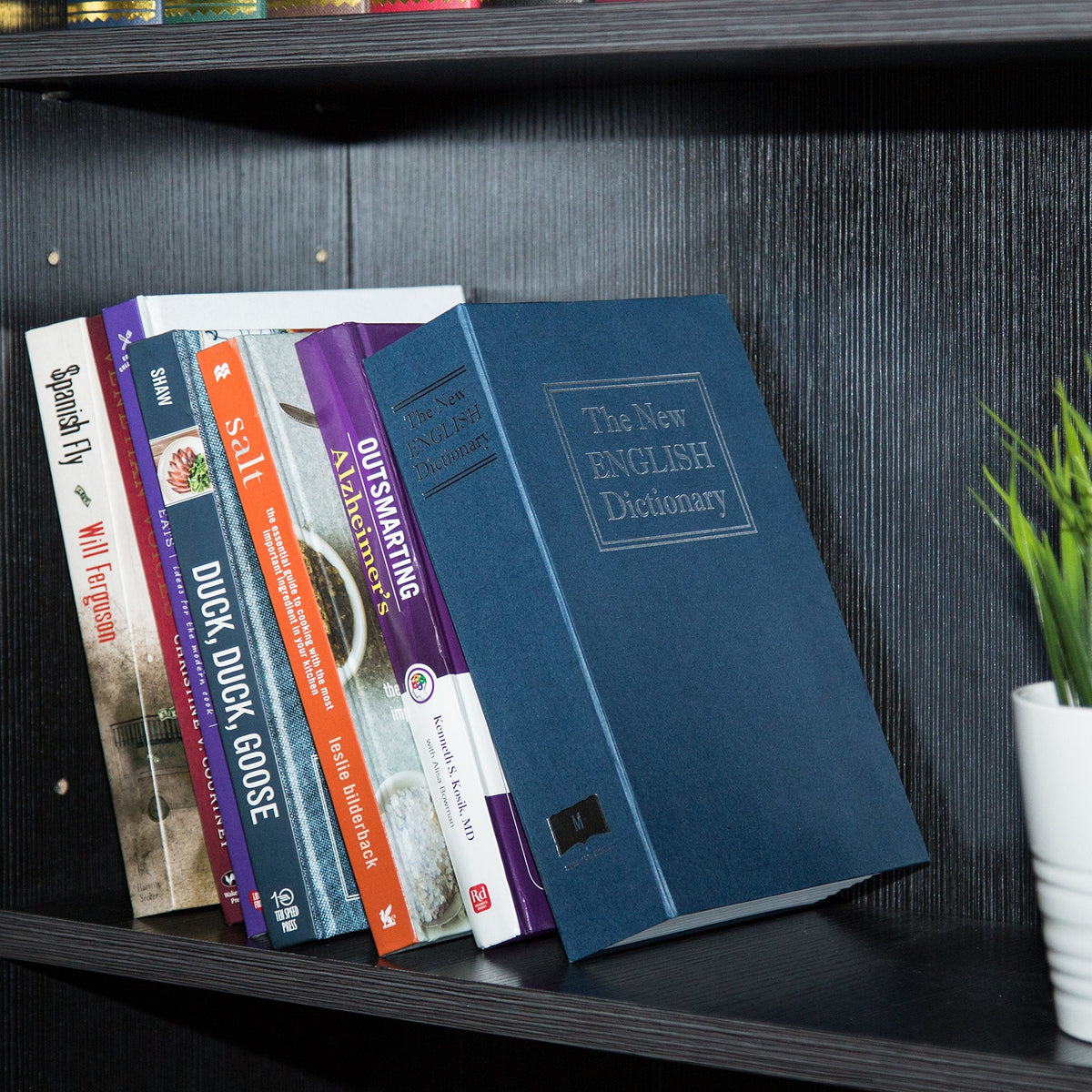 Amazon Basics Blue Book Safe