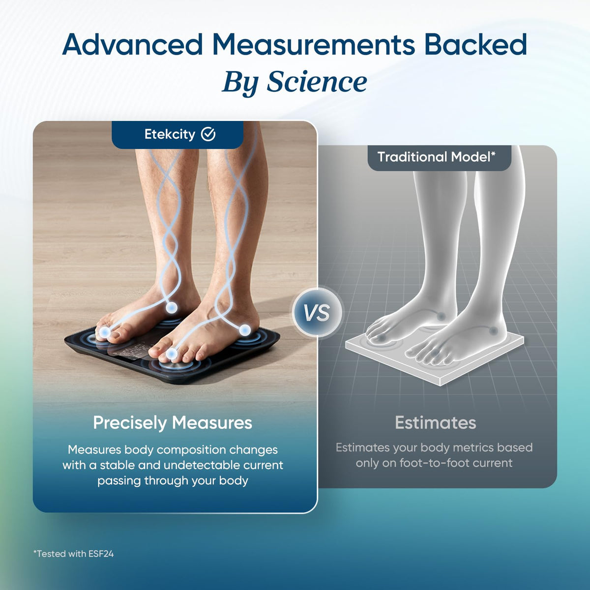 Etekcity Upgraded Smart Scale for Body Weight Fat and BMI, FSA Eligible - thewildfolk Etekcity Upgraded Smart Scale for Body Weight Fat and BMI, FSA Eligible